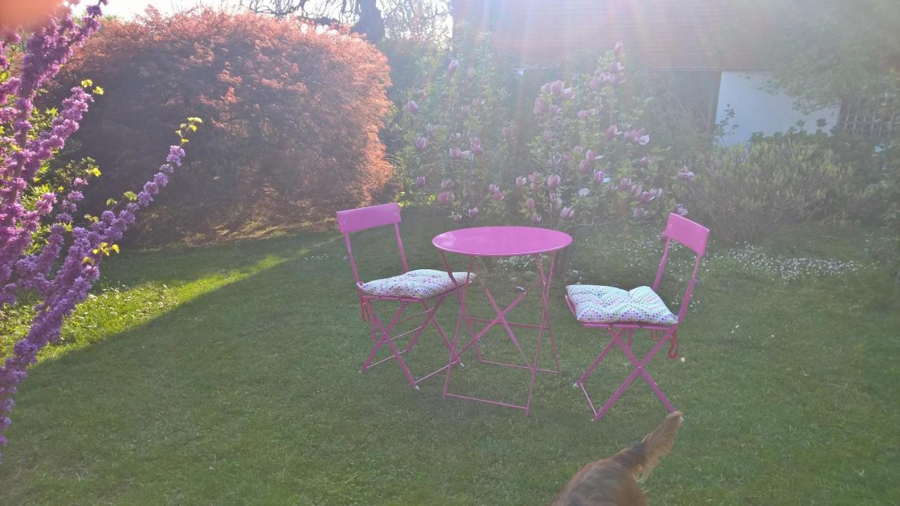 B&B Villa Giardini Susanna Gattico Esterno foto