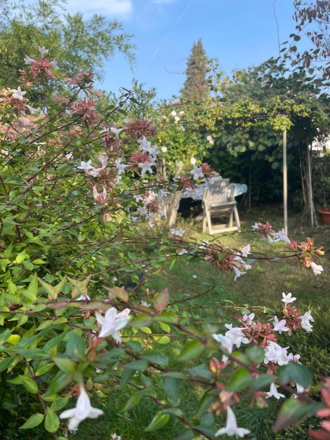 B&B Villa Giardini Susanna Gattico Esterno foto
